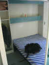 Corse2004 007.jpg (159321 octets)