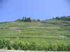 Italie 07 2004 116.jpg (374287 octets)